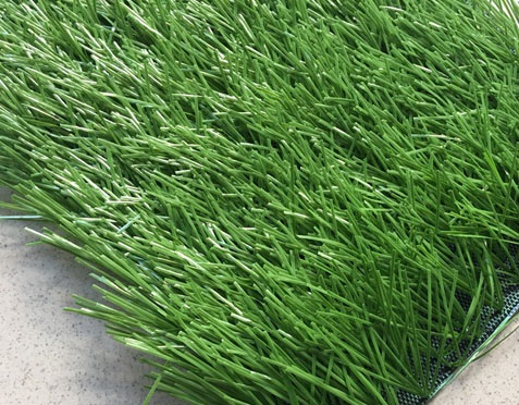Cỏ nhân tạo sân đá bóng NC D1